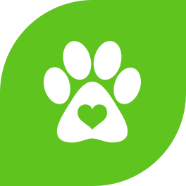 white dog paw on green background